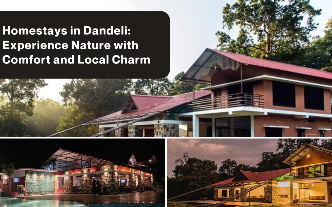 Homestays in Dandeli: Experience Nature with Comfort and Local Charm