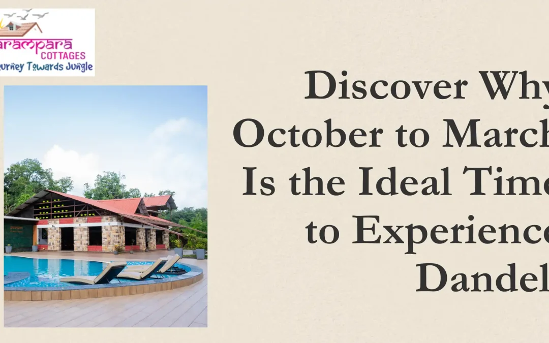 Hotels in Dandeli