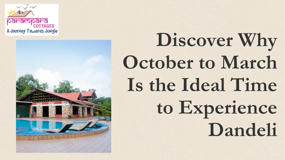 Hotels in Dandeli