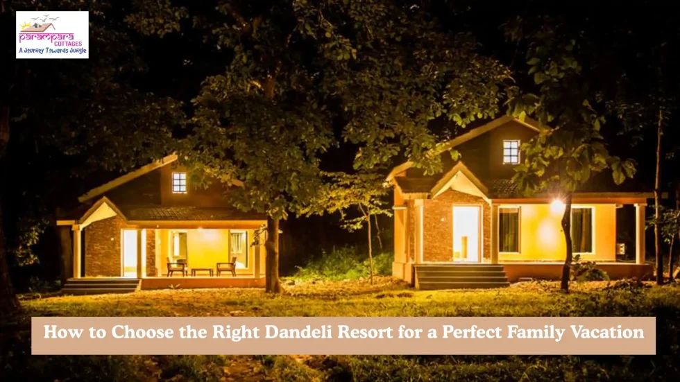 Dandeli Resort