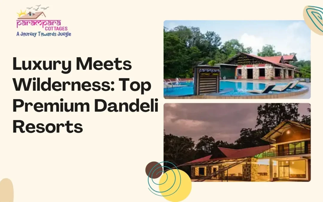 Luxury Meets Wilderness: Top Premium Dandeli Resorts