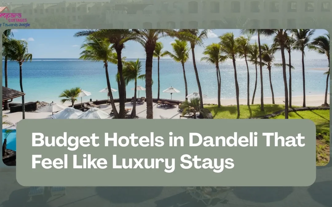 Budget Hotels in Dandeli That Feel Like Luxury Stays