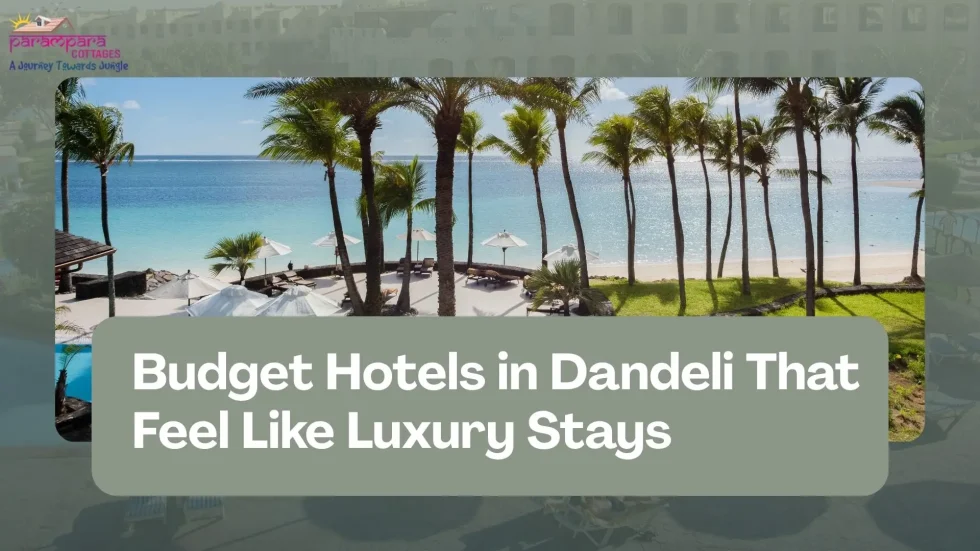 Hotels in Dandeli