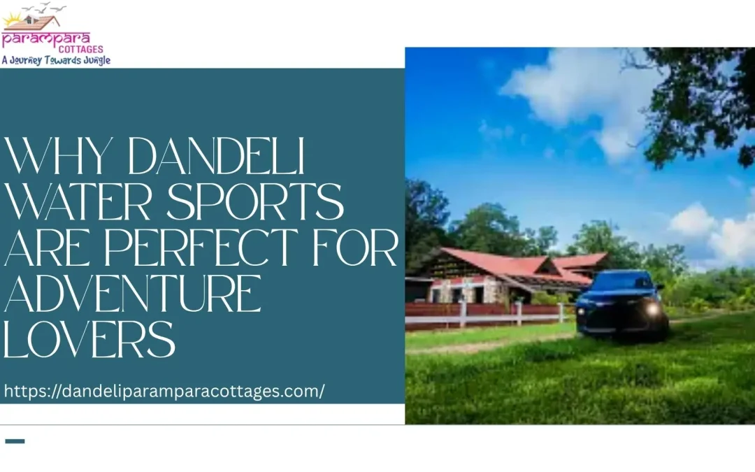 Why Dandeli Water Sports Are Perfect for Adventure Lovers