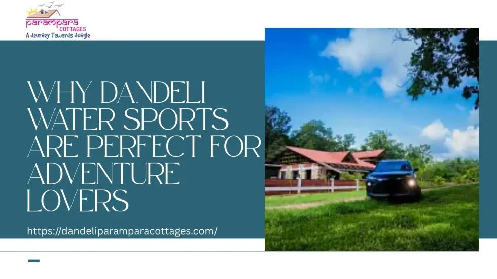 Dandeli Water Sports