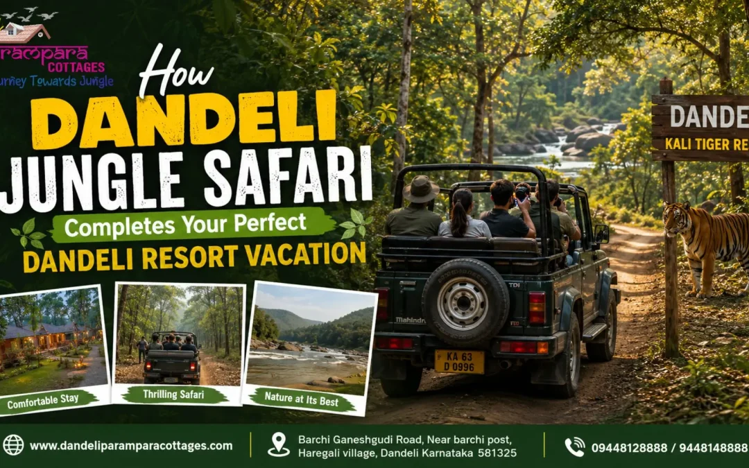Dandeli Jungle Safari