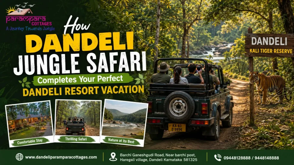 Dandeli Jungle Safari
