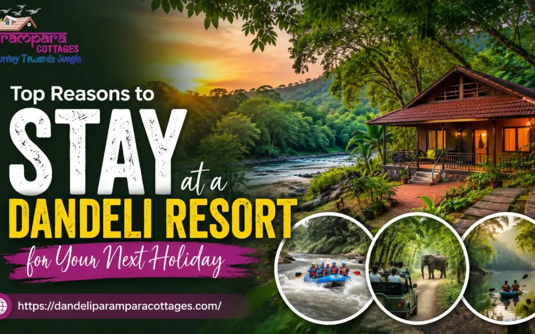 Stay At Dandeli Resort