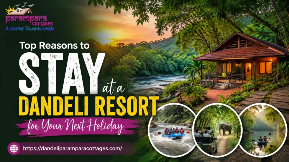 Stay At Dandeli Resort