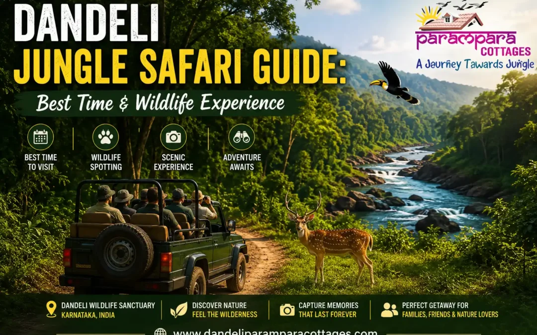 Dandeli Jungle Safari