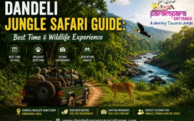Dandeli Jungle Safari