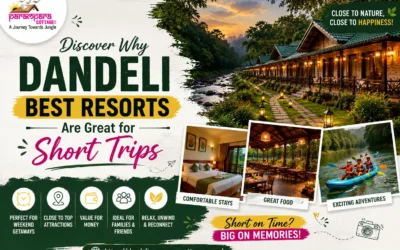 Discover Why Dandeli Best Resorts Are Great for Short Trips