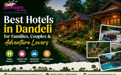Hotels in Dandeli