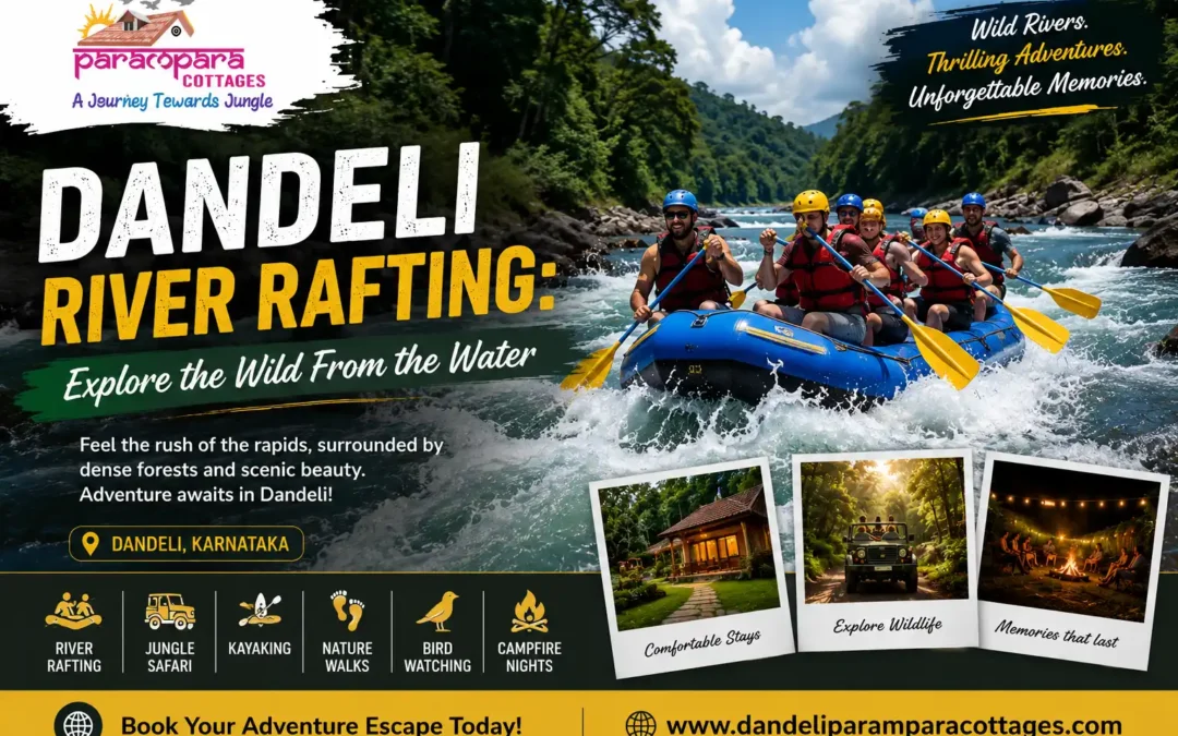Dandeli River Rafting: Explore the Wild From the Water
