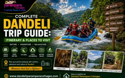 Dandeli Trip