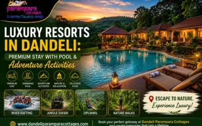 Luxury resort in dandeli